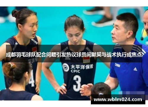 成都羽毛球队配合问题引发热议球员间默契与战术执行成焦点